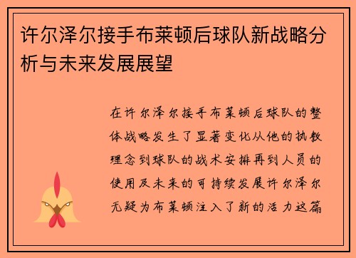 许尔泽尔接手布莱顿后球队新战略分析与未来发展展望