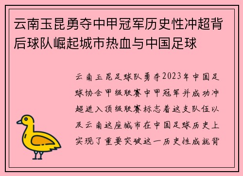 云南玉昆勇夺中甲冠军历史性冲超背后球队崛起城市热血与中国足球 云南玉昆勇夺中甲冠军历史性冲超背后球队崛起城市热血与中国足球